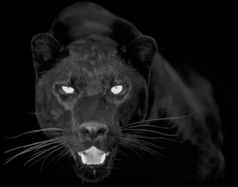 Vraiment cool!